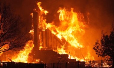 ABD'de ki orman yangını 513 milyon dolarlık hasara neden oldu