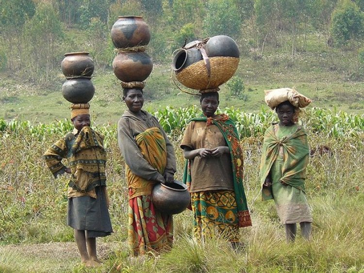 Kamerun’da Pigmeler 5 bin yıldır yaşadıkları ormanlardan zorla çıkartılıyor