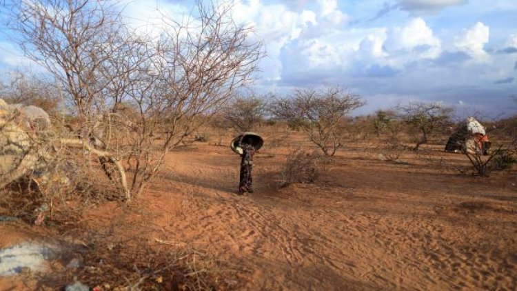 Somali'de kuraklık tehlikesi: 2 milyon kişi etkilenecek