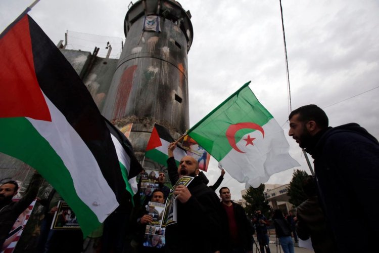 Hamas: Cezayir'in İşgalci İsrail'i Afrika Birliği'nden kovma çabasını takdir ediyoruz
