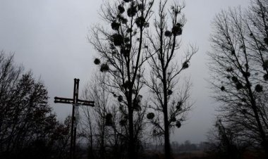 ABD'de 'kilisedeki cinsel tacizler' görmezden gelindi