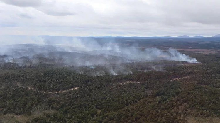 Şili'de orman yangını: Bin 235 hektarlık alan kül oldu