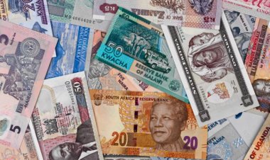 Güney Afrika: Afrika ülkeleri ortak para birimine geçmeli