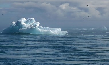 Avrupa 'buzul dönemi' tehlikesiyle karşı karşıya
