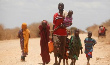 Doğu Afrika'da kuraklık sebebiyle milyonlarca kişi açlık krizinin eşiğinde