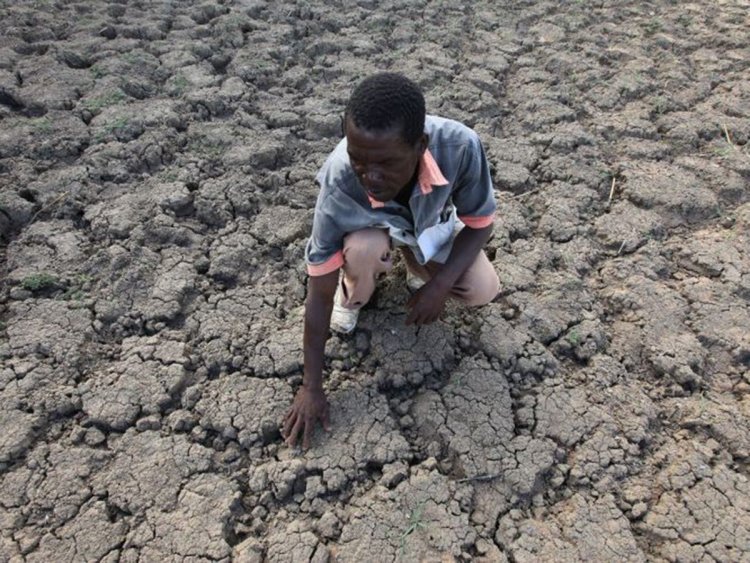 Gabon Çevre Bakanı’ndan iklim krizi tepkisi: Batılı ülkelerde ölümler artmadıkça değişim olmayacak