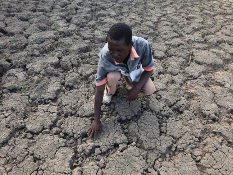 Doğu Afrika'da kuraklık alarmı