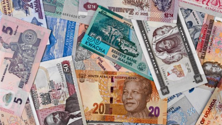 Güney Afrika: Afrika ülkeleri ortak para birimine geçmeli