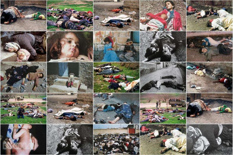 Avusturya'da Halepçe Katliamı "soykırım" olarak tanındı