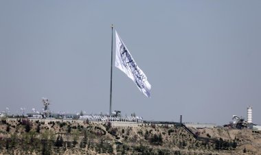 BM’den İslam Emirliğine övgü: Uyuşturucu ile mücadeledeki çabalarınız takdire şayan