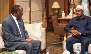 Somali Başbakanı, Afrika Birliği özel temsilcisini "istenmeyen kişi" ilan etti