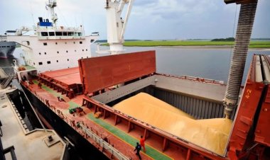 Ukrayna: Gemi ambarlarındaki 1,25 milyon ton tahıl bozulabilir