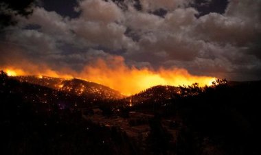 Avrupa'da orman yangınları etkisini sürdürüyor
