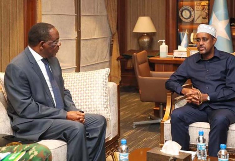 Somali Başbakanı, Afrika Birliği özel temsilcisini "istenmeyen kişi" ilan etti