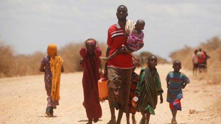 Afrika'da 40 yılın en şiddetli kuraklığı yaşanıyor