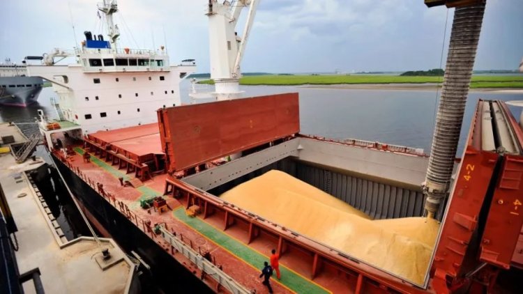 Tahıl koridorunda taşınan tahıl miktarı 1 milyon tonu geçti