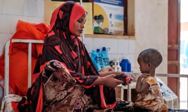 Küresel Gıda Krizi raporu: Yaklaşık 193 milyon insan akut gıda güvensizliği yaşıyor