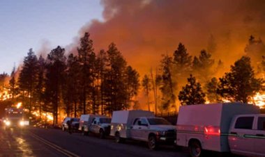 Fransa'daki yangınlara ilişkin 25 kişi gözaltına alındı
