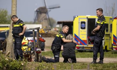 Hollanda'da ergoterapi çiftliğinde silahlı saldırı: 2 ölü