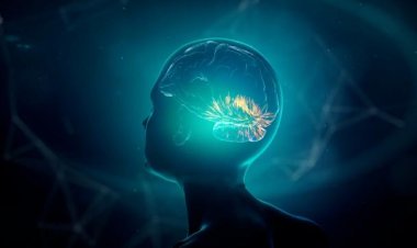 İnsan beynine çip takma denemeleri başladı