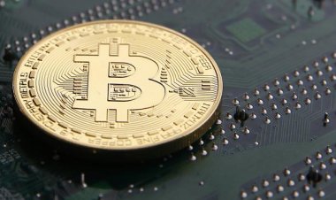Bitcoin kasım ayı zirvesinden bu yana yüzde 50 düştü