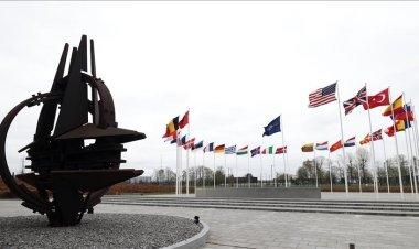 Finlandiya NATO üyeliği için başvuruda bulunacak