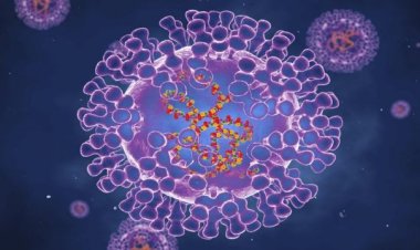 Maymun çiçeği virüsü endişesi giderek büyüyor: 58 kişi öldü