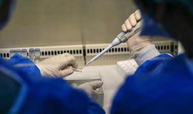 DSÖ: Küresel maymun çiçeği vakaları 70 binin üzerinde