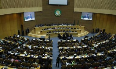 Afrikalı liderler, 'insani yardım' gündemiyle olağanüstü toplandı