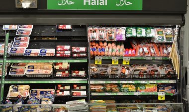 Salgın sonrası, Gayrimüslim ülkelerin helal ürünlere  talebi arttı