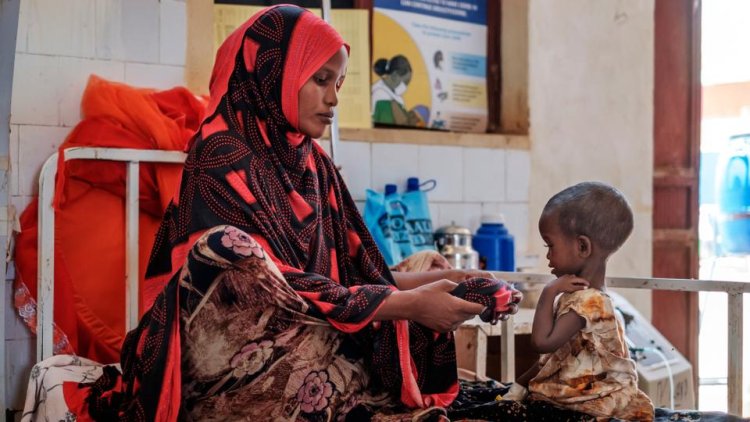 Somali'de kuraklık 1 milyon kişiyi açlık riskiyle karşı karşıya bıraktı