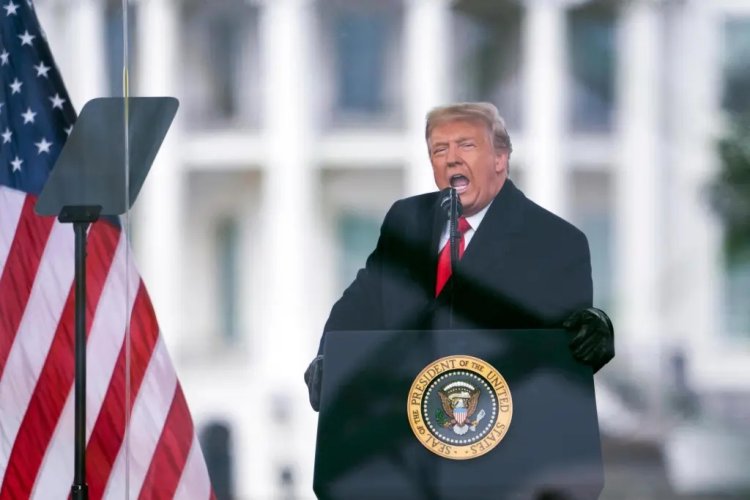 Almanya Başbakan Yardımcısı Habeck, Trump’ı Avrupa’yı bölmeye çalışmakla suçladı