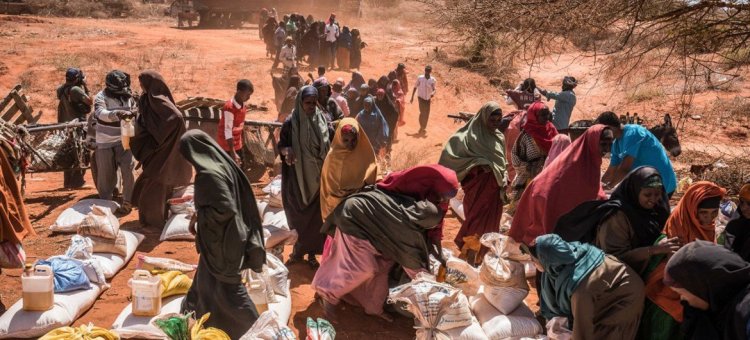 Senegal'den Afrika'da kıtlık uyarısı