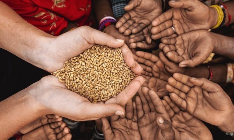 Ukrayna'dan kuraklıkla mücadele eden Afrika ülkelerine tahıl desteği