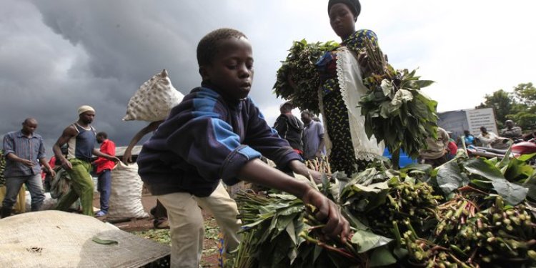Fransa gıda krizini aşmak için Afrika'daki arazilere göz dikti