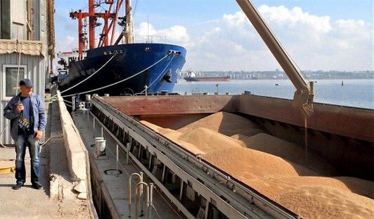 BM: Ukrayna limanları tahıl ihracatına açılmazsa kıtlık ve kitlesel göç yaşanabilir