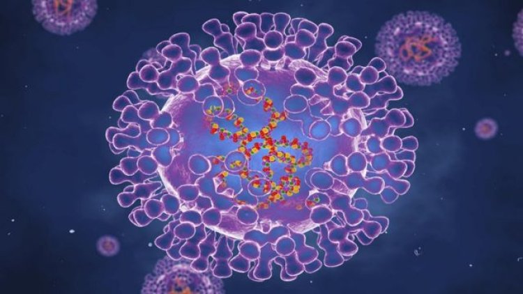 Maymun çiçeği virüsü endişesi giderek büyüyor: 58 kişi öldü