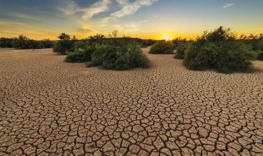 Dünya, Paris İklim Anlaşması hedeflerini yakalamaktan uzak