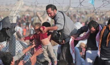 Dünyada 83 milyondan fazla insan zorla yerinden edildi