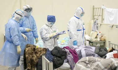 Bilim insanlarından yeni virüs uyarısı: İnsanlar arasında yayılabilir