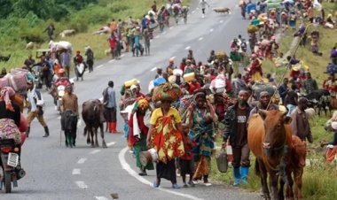 Demokratik Kongo Cumhuriyeti'nde çatışmalar nedeniyle binlerce kişi yerinden oldu