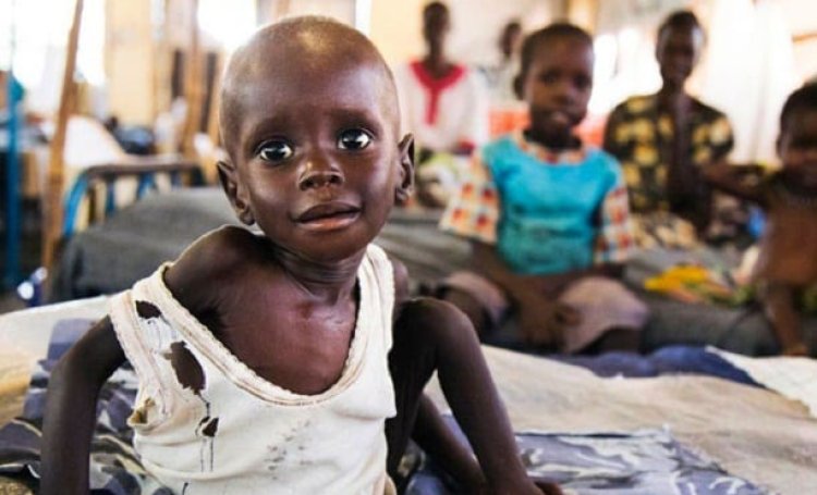 "Güney Sudan'a gıda yardımı fon yetersizliği nedeniyle askıya alındı"