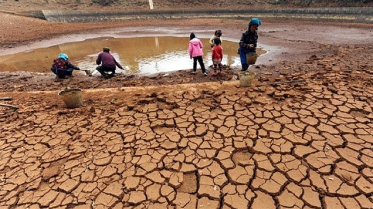 Somali, kuraklıkla mücadele için uluslararası topluma acil yardım çağrısı yaptı