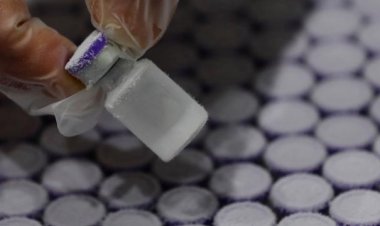 Kanada'da milyonlarca doz koronavirüs aşısı çöpe atılacak