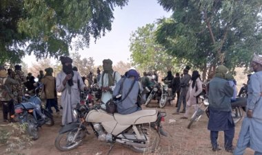 Nijerya'da silahlı saldırıda 81 kişi kaçırıldı