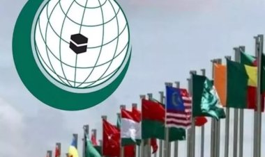 İİT'den Türkiye'nin tahıl koridoru anlaşmasındaki çabasına övgü