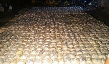 Meksika'da 1,5 tondan fazla uyuşturucu ele geçirildi