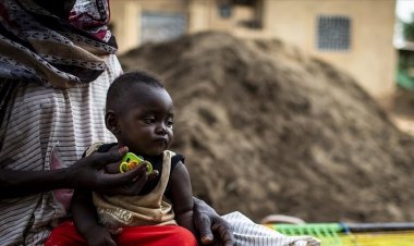 Nijerya'da Lassa ateşi salgını nedeniyle acil durum ilan edildi