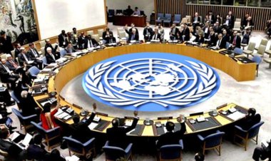BM ana organlarının işlevi tartışılıyor