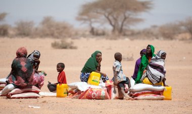 Arap Birliği ve BM himayesinde 'Somali'deki kuraklıkla mücadele' konulu konferans düzenlenecek